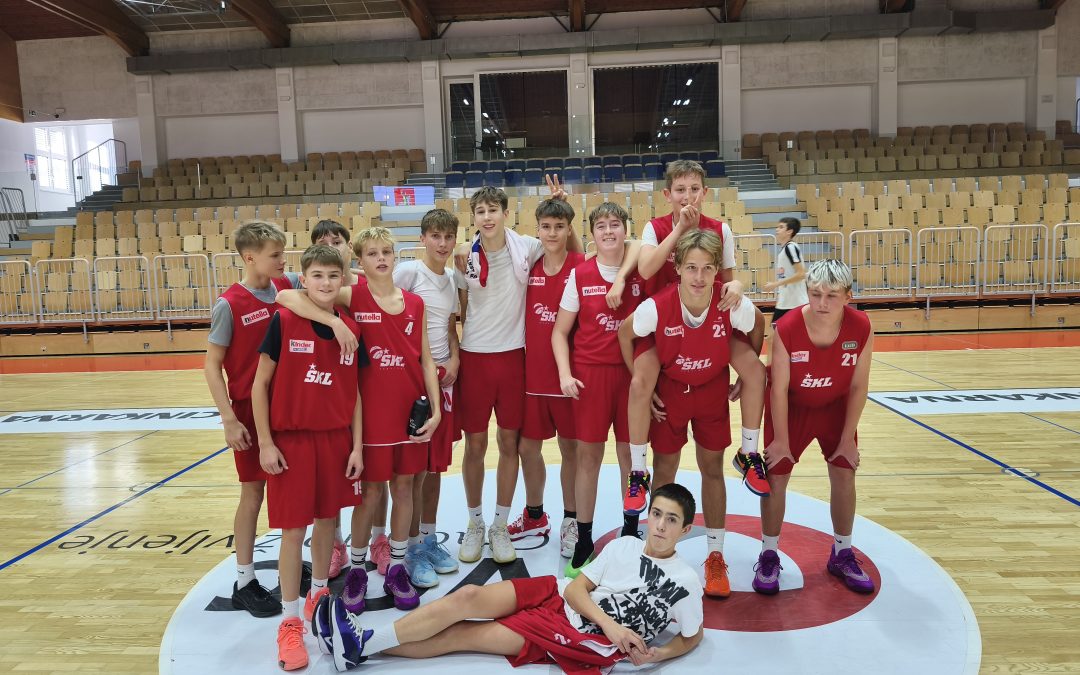 Področno prvenstvo v košarki