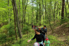 IMG-d8c407b396f9907d4d6396cffd0bd861-V